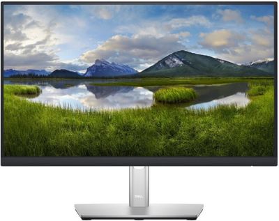 Dell/P2222H/21,5"/IPS/FHD/60Hz/5ms/Silver/3RNBD