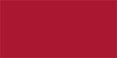 Foto kartón, obojstranný, 50x70 cm, červený