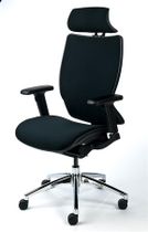 Kancelárska stolička, nastaviteľné opierky rúk, čierny poťah, sieťované operadlo, čierny podstavec, MAYAH "Crown"