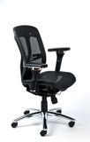 Kancelárska stolička, nastaviteľné opierky rúk, sieťované sedadlo, hliníkový podstavec, MAYAH 
