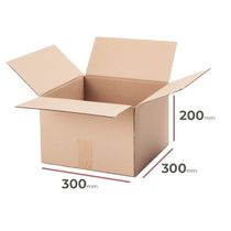 Kartónová krabica, 300x300x200mm, 3VVL (25 ks)
