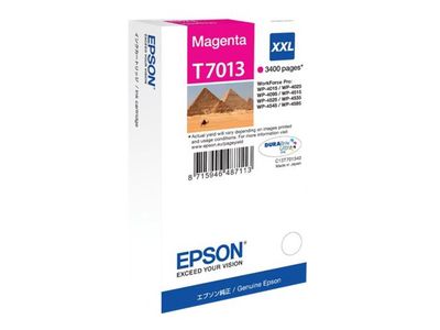 Cartridge EPSON T7013 XXL (C13T70134010) magenta - originál (3 400 str.)