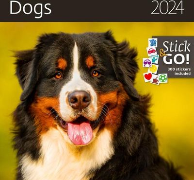 Nástenný kalendár Dogs 2024
