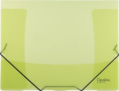 Plastový obal s gumičkou Karton PP Opaline zelený